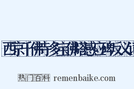 西京千佛寺多宝佛塔感应碑反义词是什么意思的图片